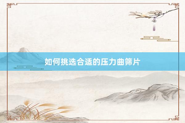 如何挑选合适的压力曲筛片