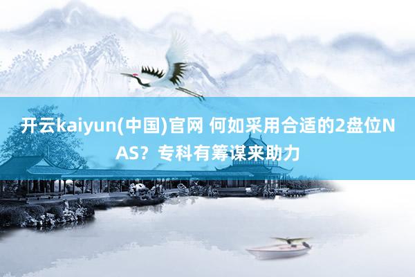 开云kaiyun(中国)官网 何如采用合适的2盘位NAS？专科有筹谋来助力