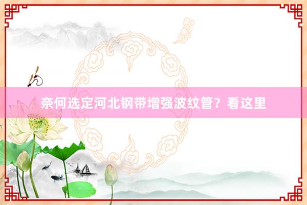 奈何选定河北钢带增强波纹管？看这里
