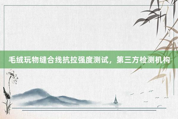 毛绒玩物缝合线抗拉强度测试，第三方检测机构