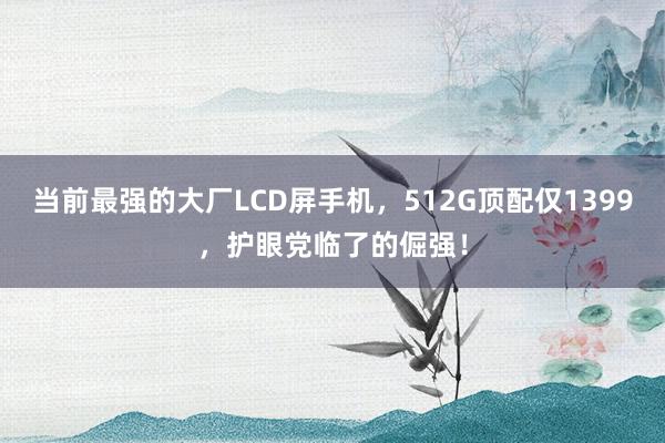 当前最强的大厂LCD屏手机，512G顶配仅1399，护眼党临了的倔强！