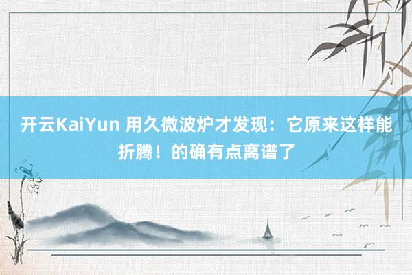 开云KaiYun 用久微波炉才发现：它原来这样能折腾！的确有点离谱了