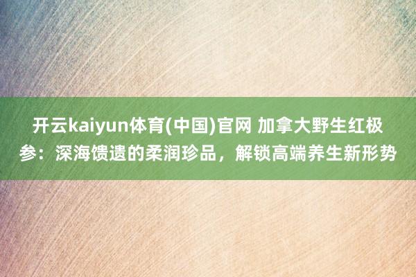 开云kaiyun体育(中国)官网 加拿大野生红极参：深海馈遗的柔润珍品，解锁高端养生新形势
