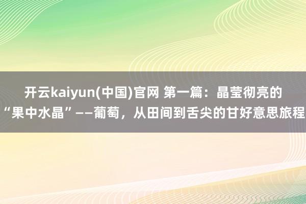 开云kaiyun(中国)官网 第一篇：晶莹彻亮的“果中水晶”——葡萄，从田间到舌尖的甘好意思旅程
