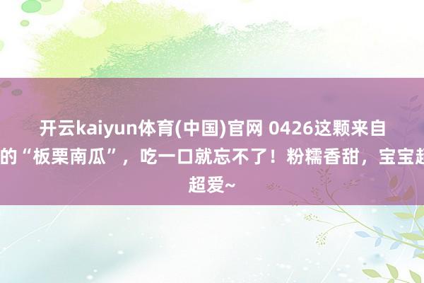 开云kaiyun体育(中国)官网 0426这颗来自云南的“板栗南瓜”，吃一口就忘不了！粉糯香甜，宝宝超爱~