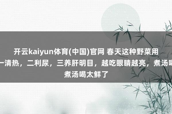 开云kaiyun体育(中国)官网 春天这种野菜用力吃，一清热，二利尿，三养肝明目，越吃眼睛越亮，煮汤喝太鲜了