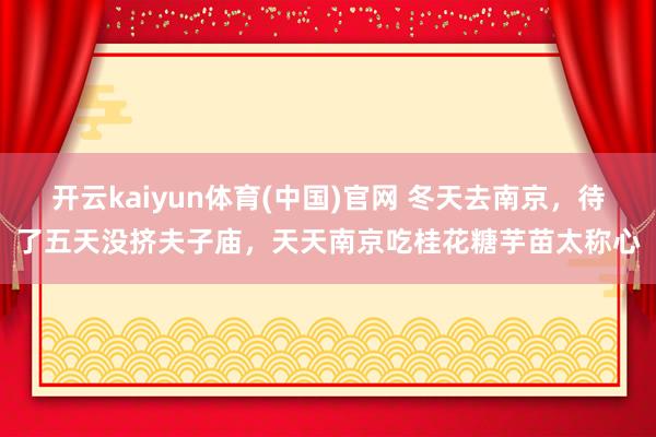 开云kaiyun体育(中国)官网 冬天去南京，待了五天没挤夫子庙，天天南京吃桂花糖芋苗太称心