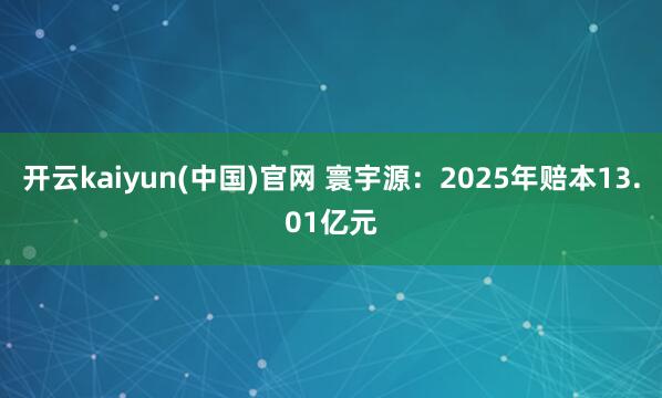 开云kaiyun(中国)官网 寰宇源：2025年赔本13.01亿元